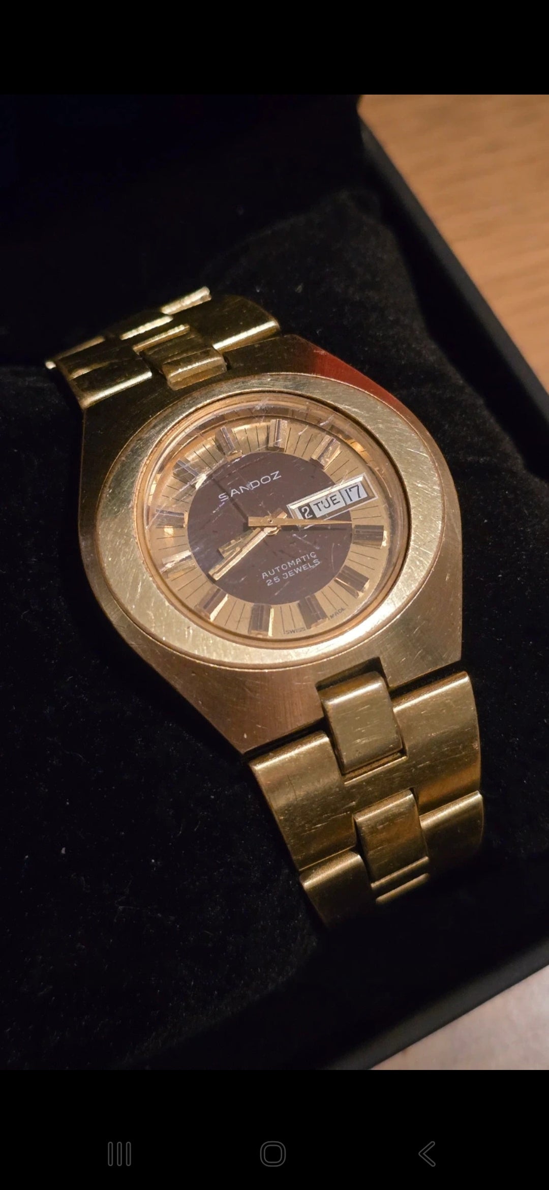 Sandoz Vintage Automatic Self-Winding Mens Watch