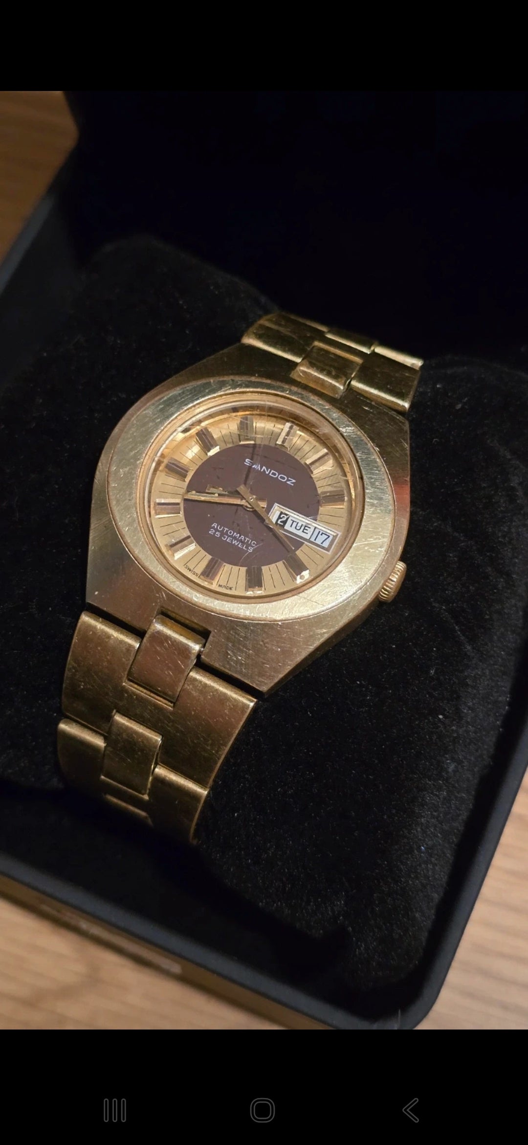 Sandoz Vintage Automatic Self-Winding Mens Watch